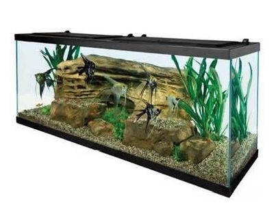 Aquarium 55 Gallons