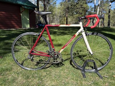 2005 Pegoretti Marcelo bicycle. 53 cm. Vintage. Campagnolo Record, custom paint.
