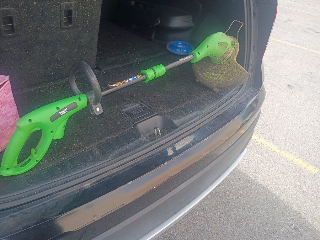 Expert Gardener 10-Inch 4-Amp Electric String Trimmer Weed Wacker - Green