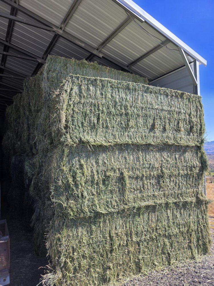 Grass Alfalfa Mix Hay 3x4x8 Bales Steam Baled