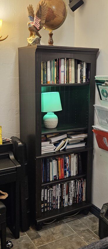 Modern dark wooden bookshelf