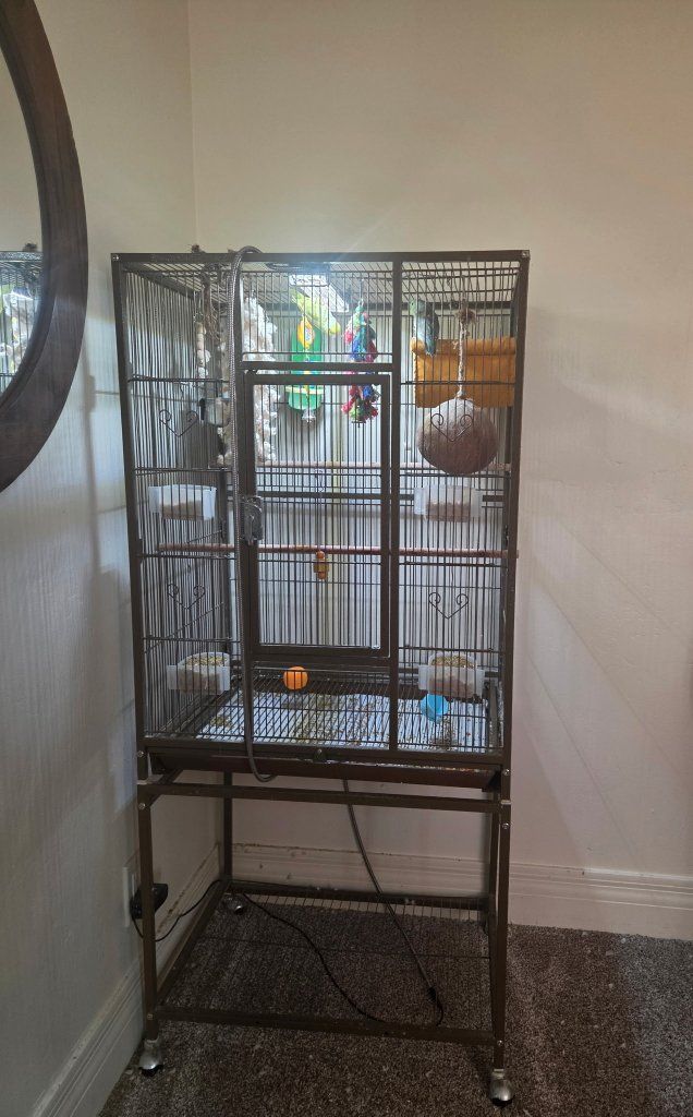 Large Bird Cage with Rolling Srand