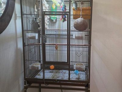 Large Bird Cage with Rolling Srand