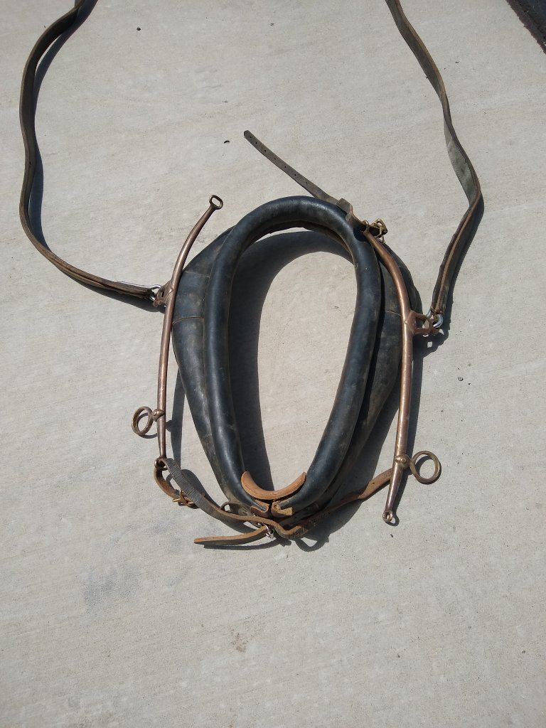 Horse collar with BRASS Hanes and tug.
