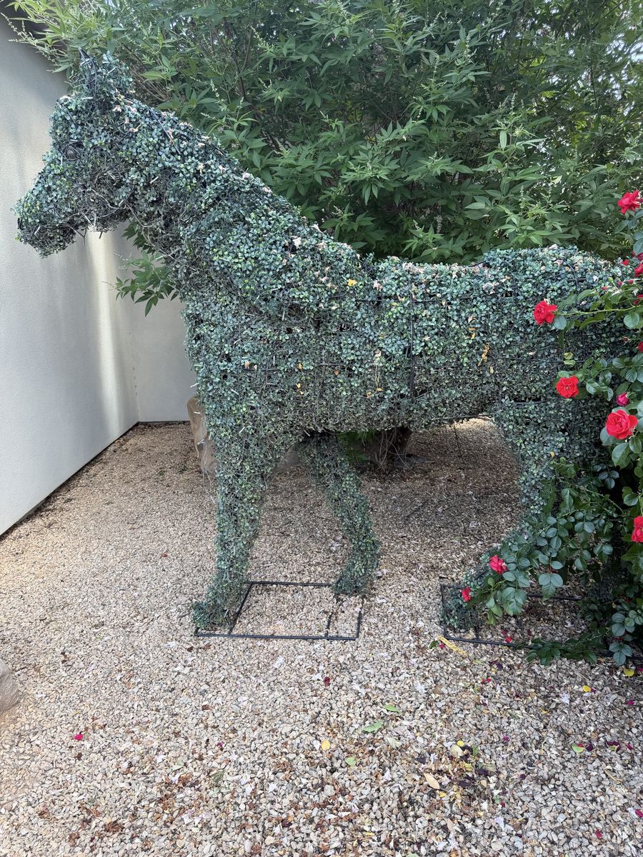 Topiary Horse