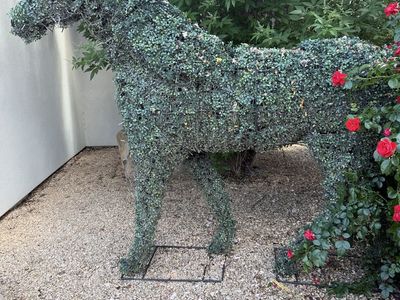 Topiary Horse