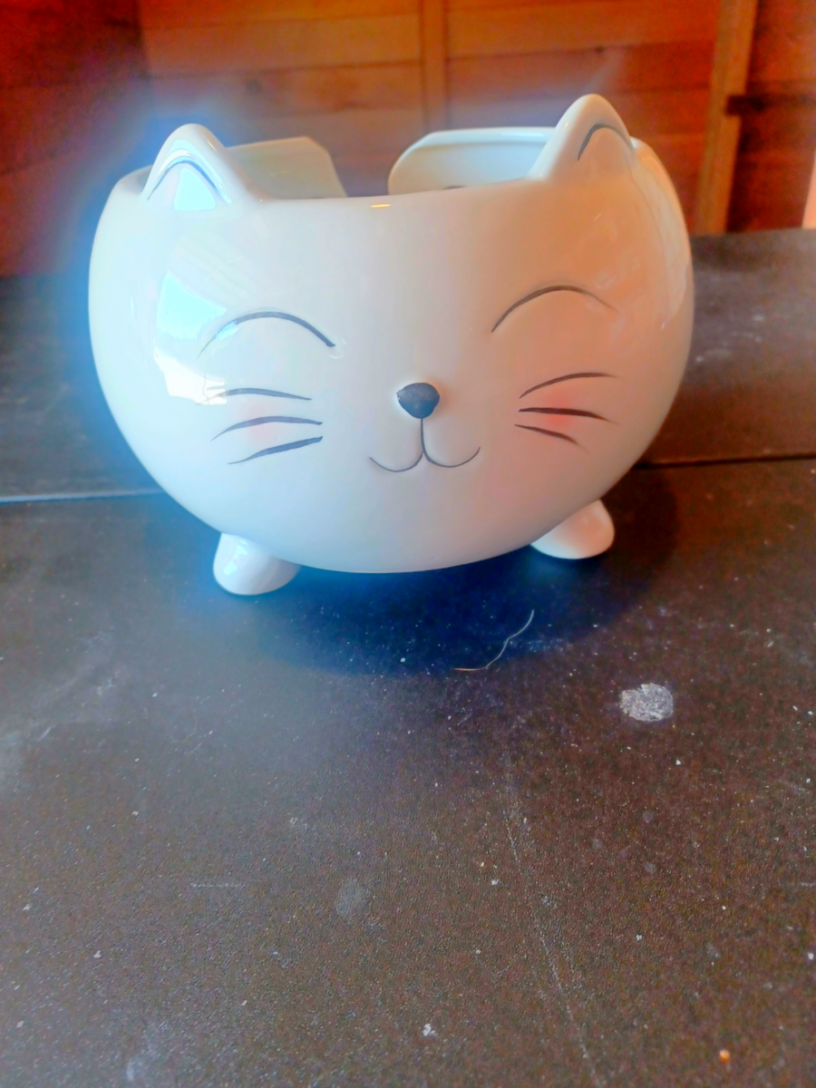 Cute Ceramic Cat Planter or Bowl – Purr-fect for Decor!