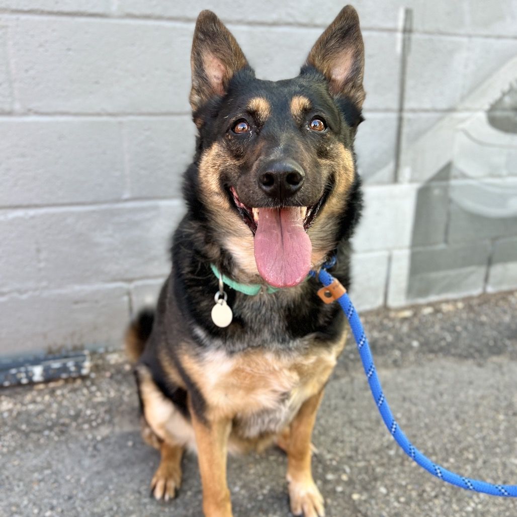 Hello my name is Gianna