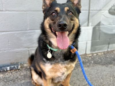 Hello my name is Gianna