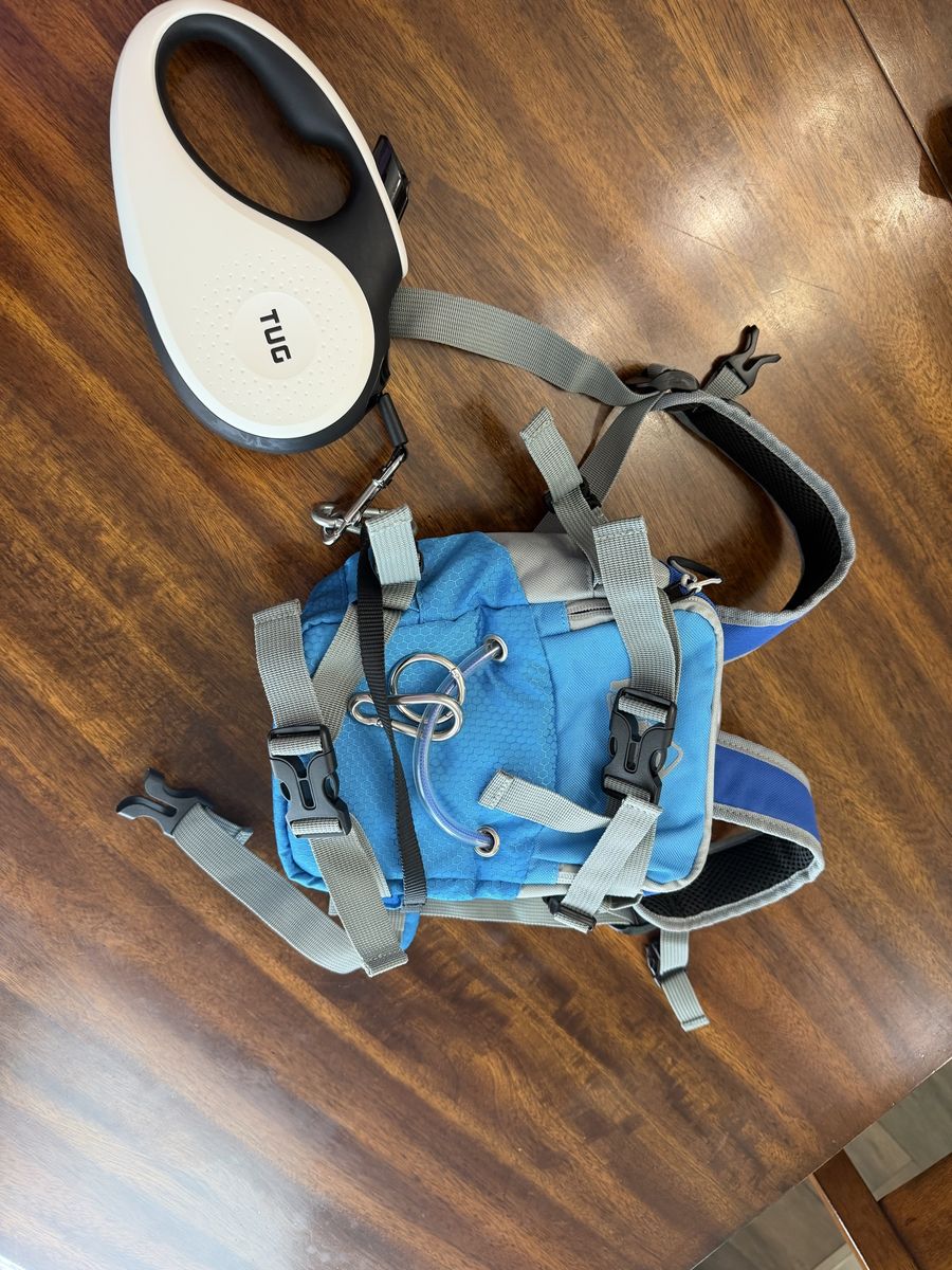 Kids ski harness