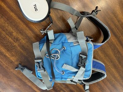 Kids ski harness
