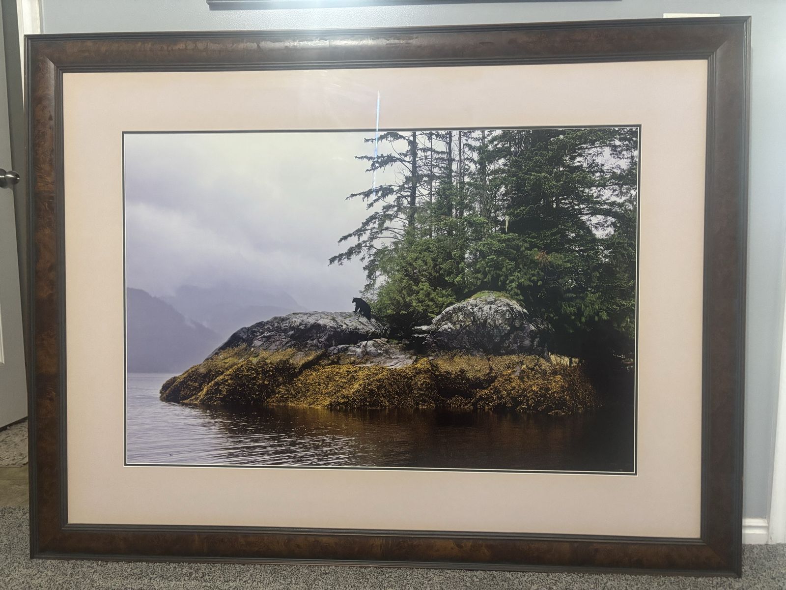 Guardian of Knight Inlet - T. Mangelsen $2,000 OBO