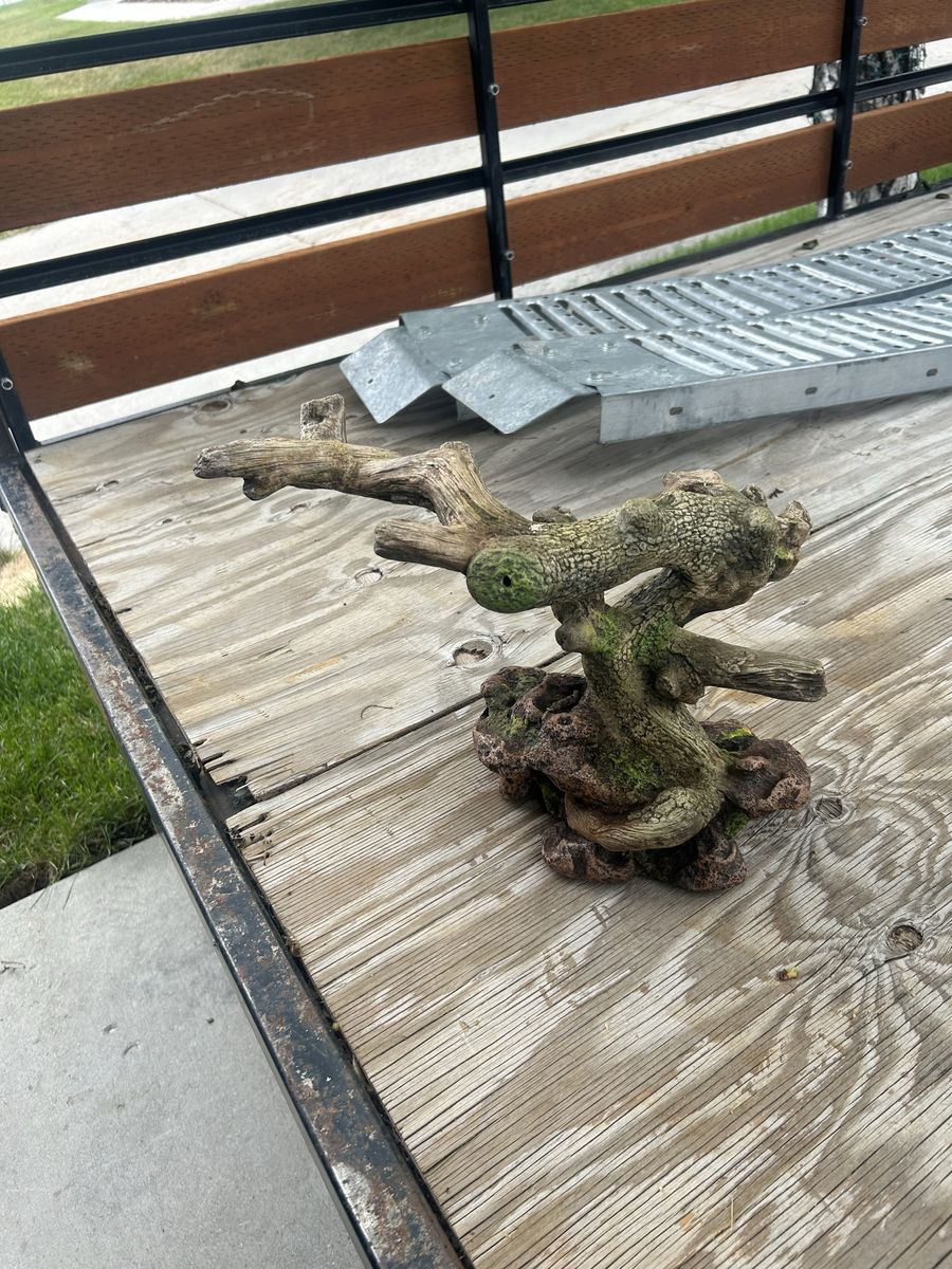 Thrive Twigs & Rock Reptile Decor