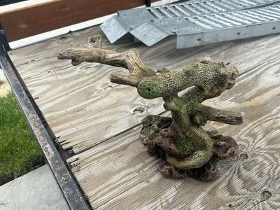 Thrive Twigs & Rock Reptile Decor