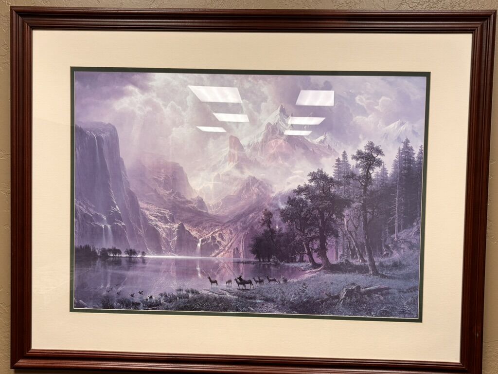 Large Framed Mountain Landscape Print – 43.5” x 33” – Wildlife Scene