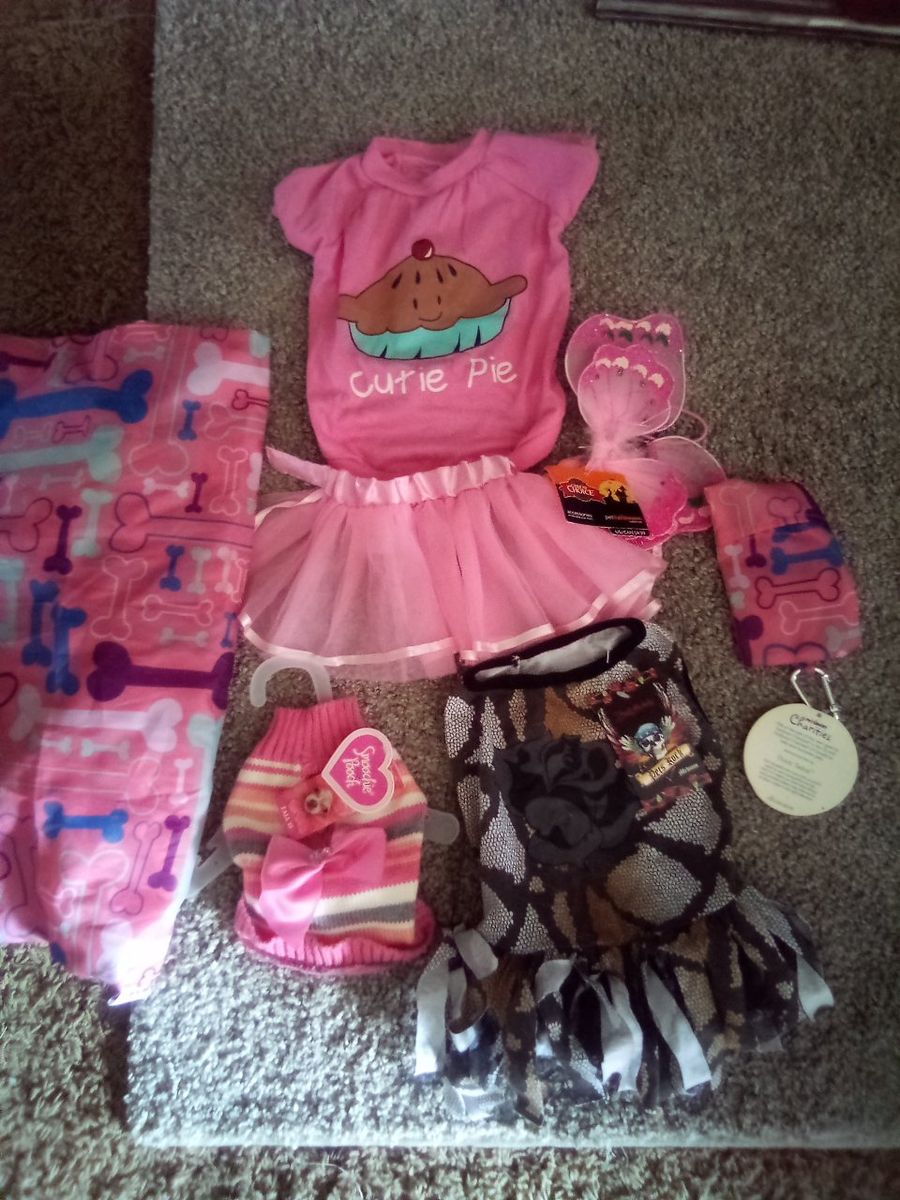 Sparkle Pups & Chapters Pet Apparel Lot: Pink Tutu Dress, Cutie Pie Shirt, Sweaters, & Costumes