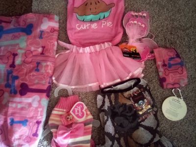 Sparkle Pups & Chapters Pet Apparel Lot: Pink Tutu Dress, Cutie Pie Shirt, Sweaters, & Costumes