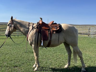 Good horse, not my horse