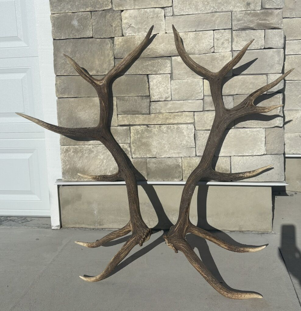 Elk Shed Set