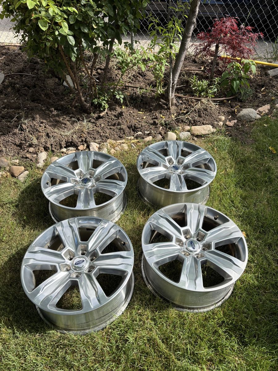 Ford 20 inch platinum wheels