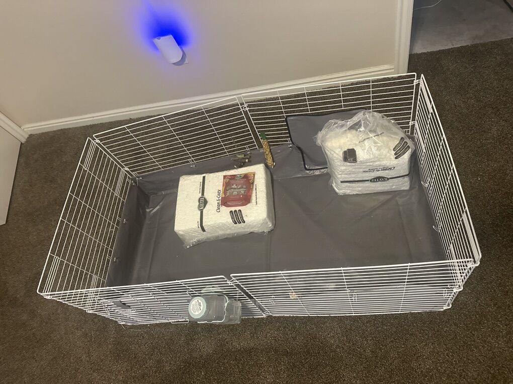 Large Guinea Pig Cage