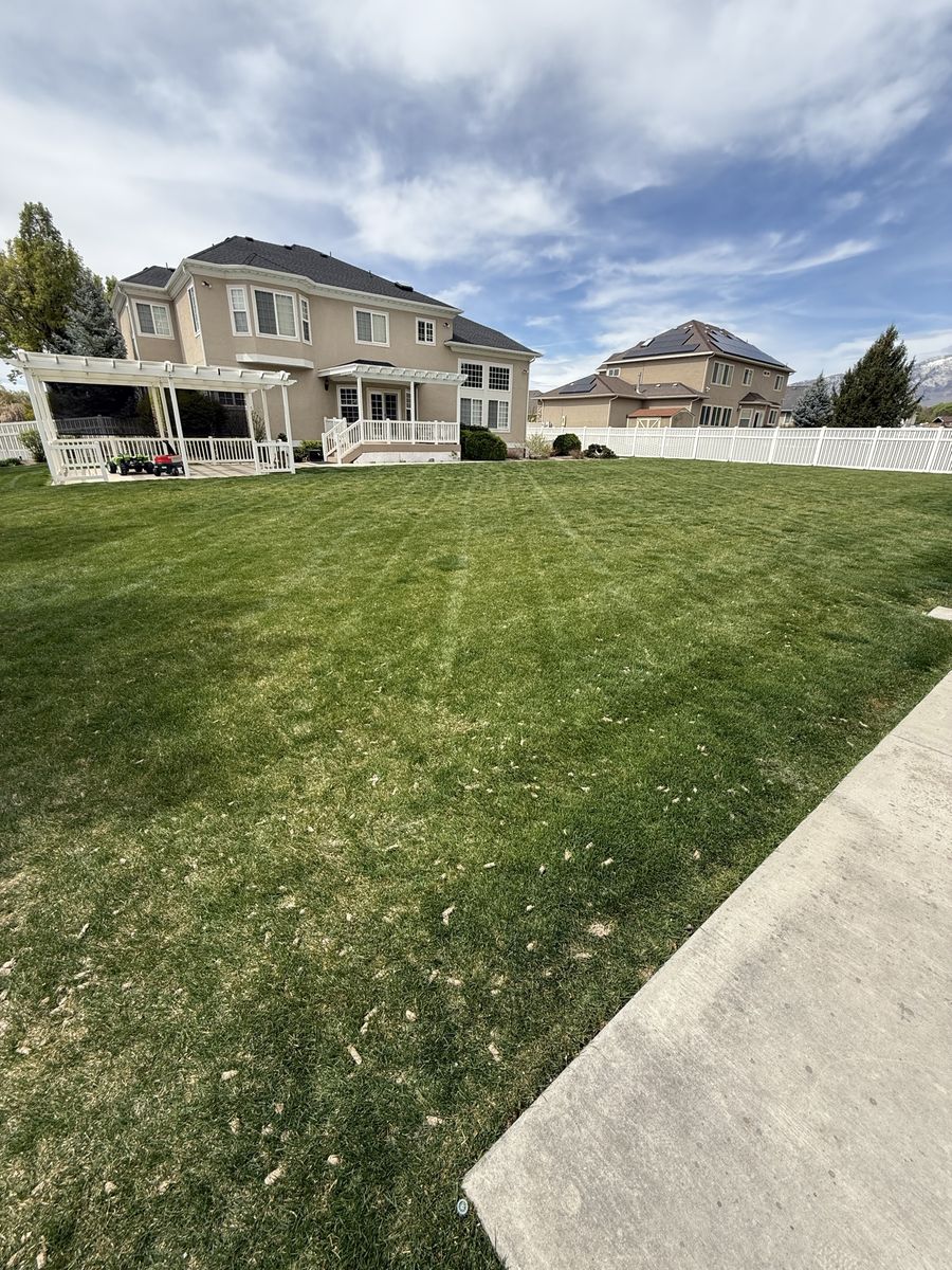 Main image 8