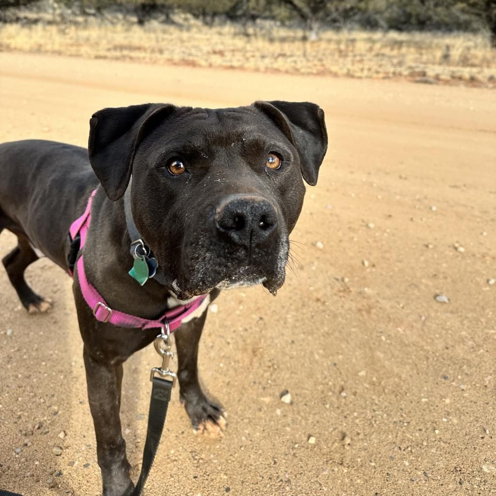 Main image 5