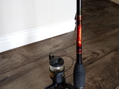 Fishing rod reel hook line and sinker