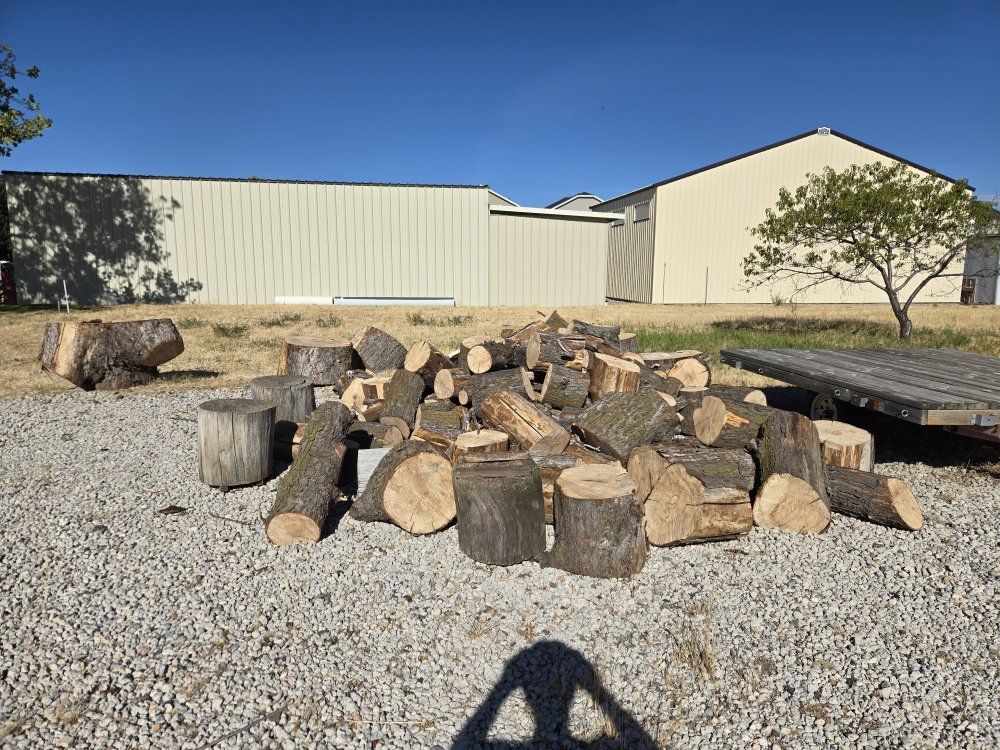 Firewood Logs and Round Chunks for Burning