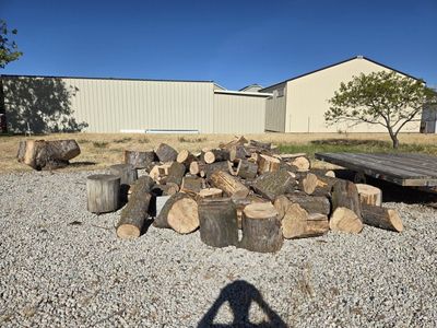 Firewood Logs and Round Chunks for Burning