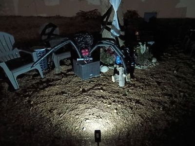 Large Handcrafted Halloween Spider