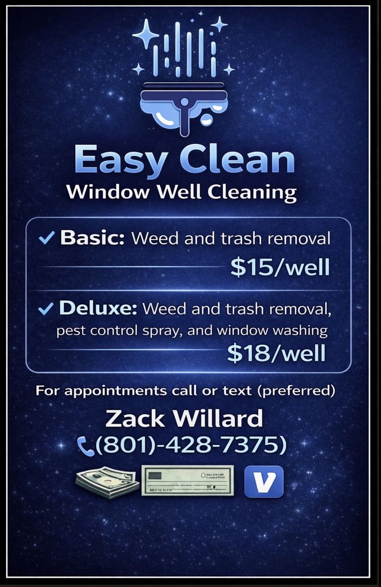 Easy Clean Window Well Cleaning