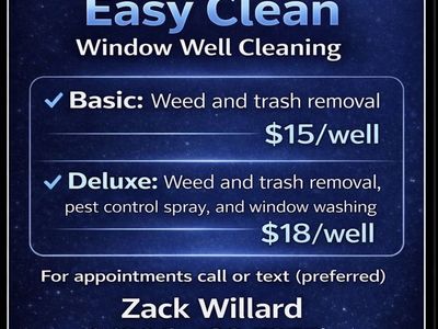 Easy Clean Window Well Cleaning