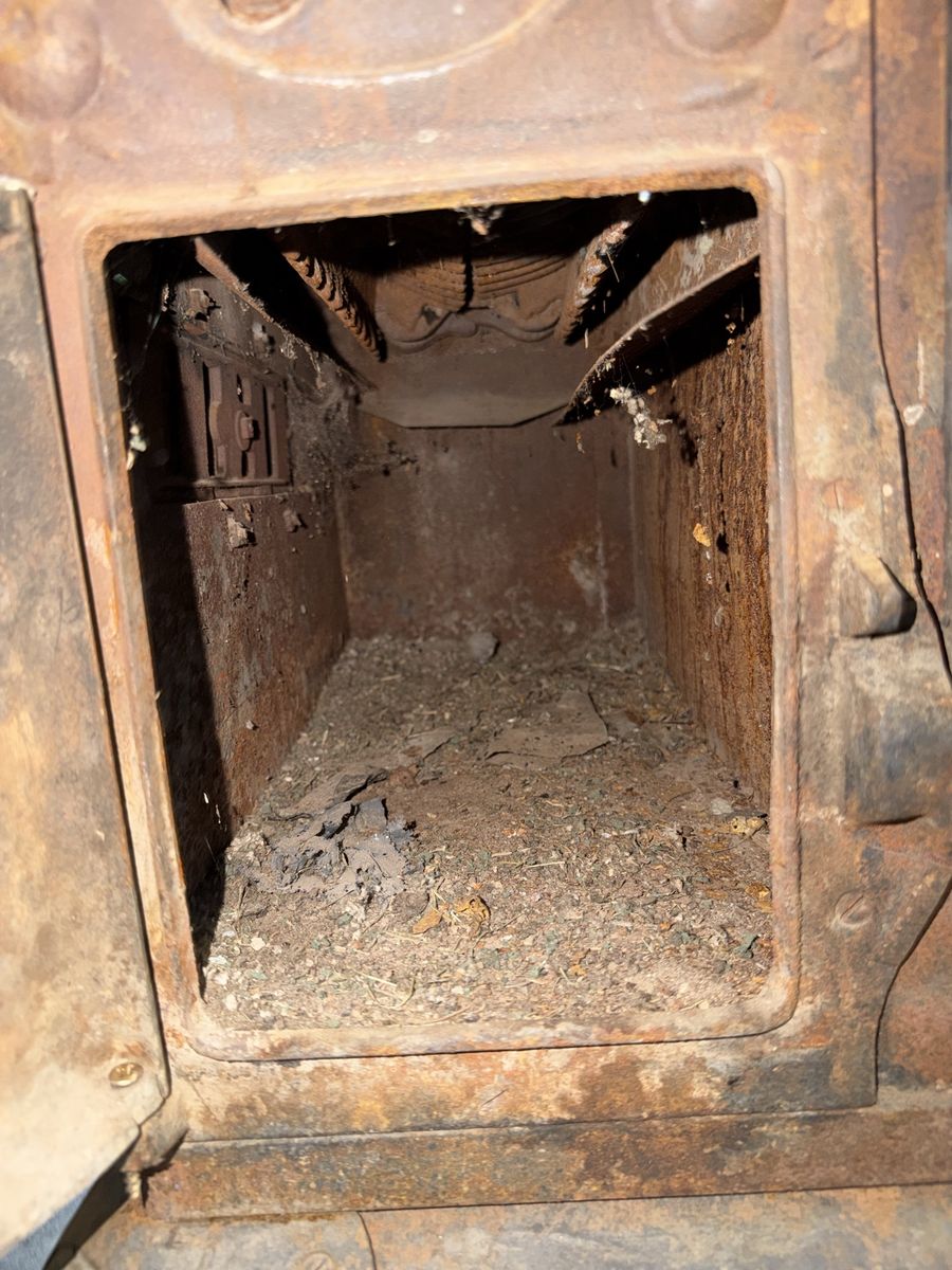 Main image 7