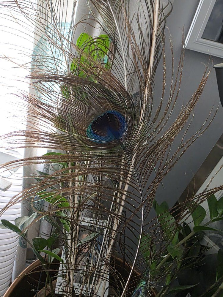 Main image 4