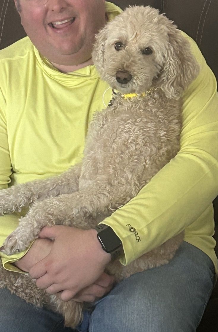 Missing Dog in/Around WVC/Magna area