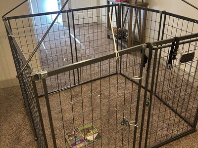 Portable Dog Kennel