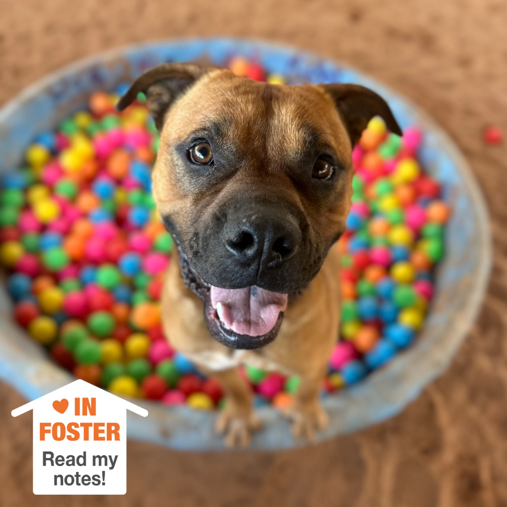 Hello my name is Rockhopper