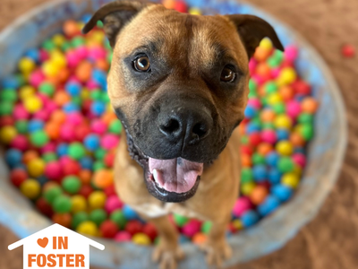 Hello my name is Rockhopper