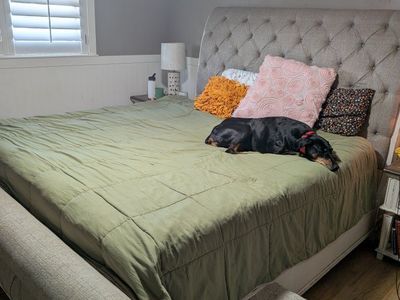 sleigh bed king and box spring if you want