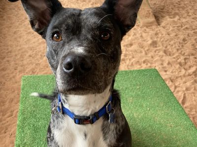 Hello my name is Lennon