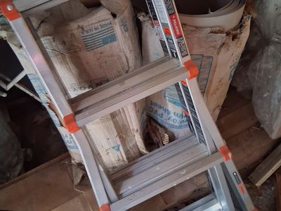 Little Giant Ladder