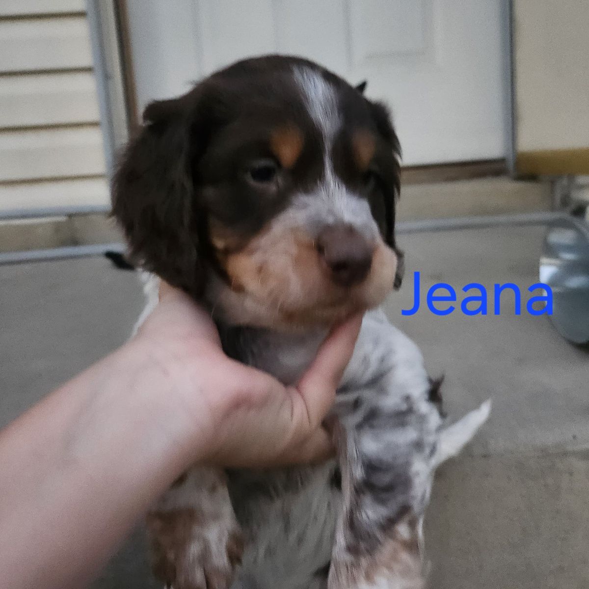 Main image 3