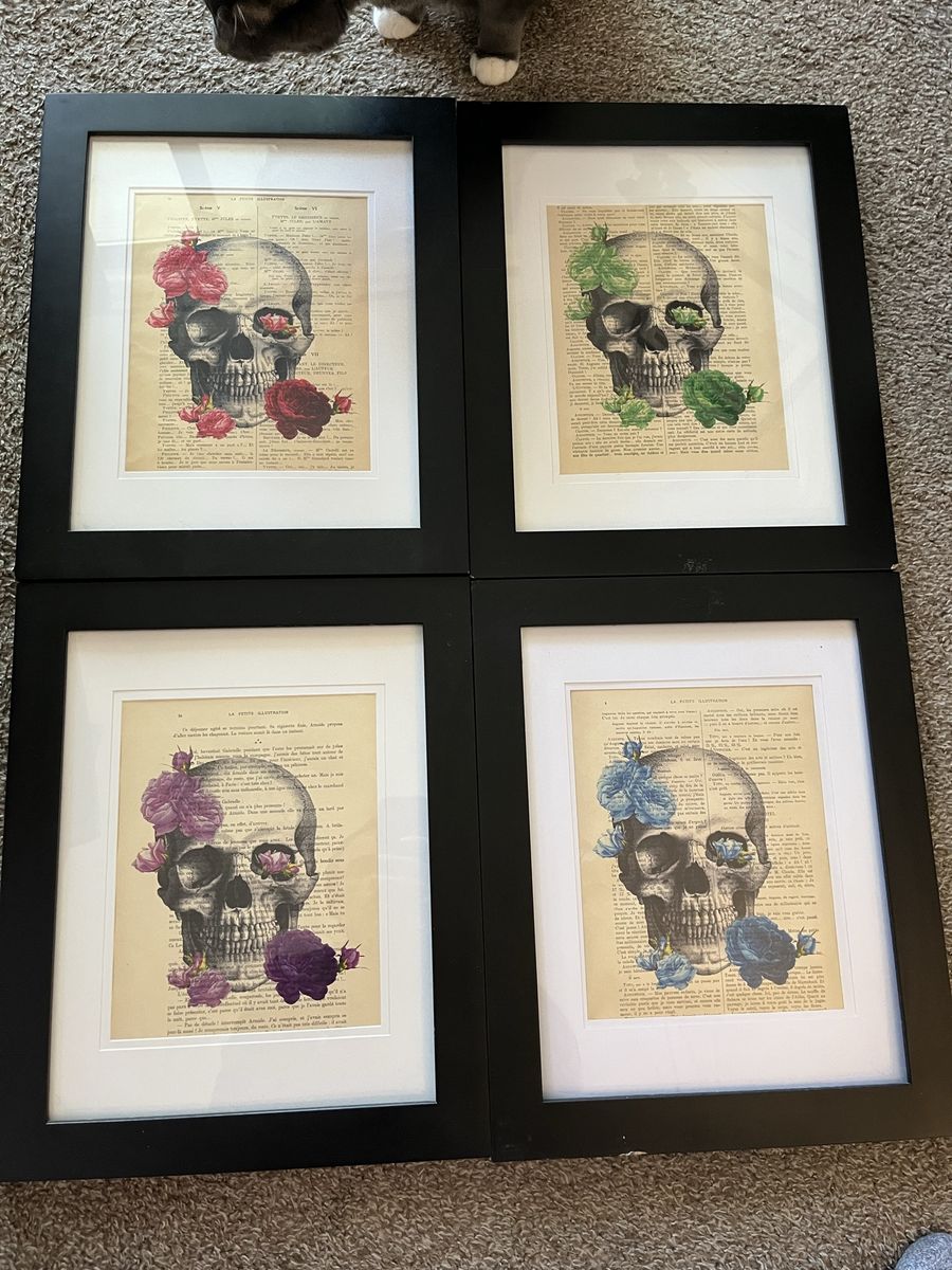 Set of 4 skull art prints framed