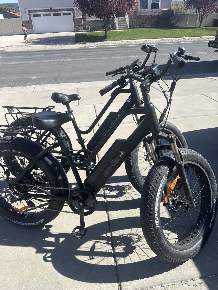 Two Ebikes One Price $1000