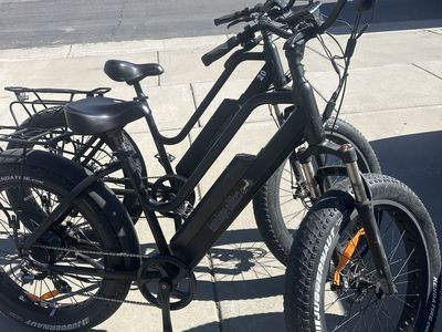 Two Ebikes One Price $1000