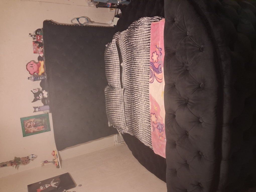 Dream Black velvet Bed