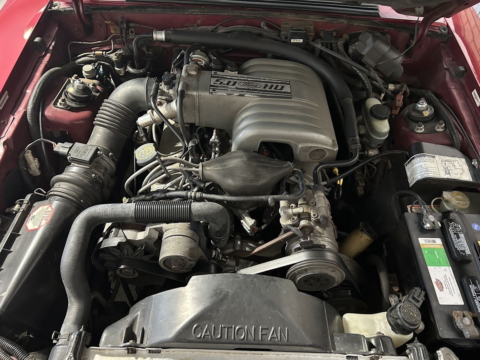 Main image 5