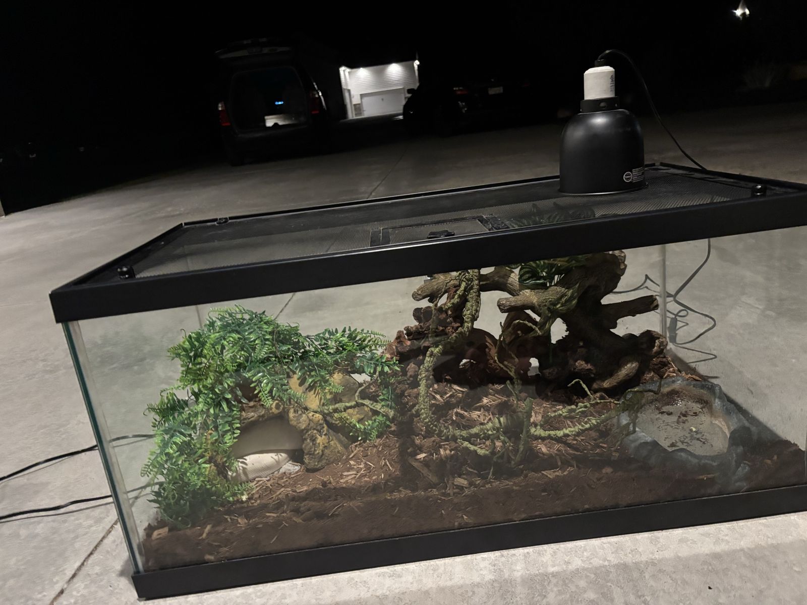 Main image 2