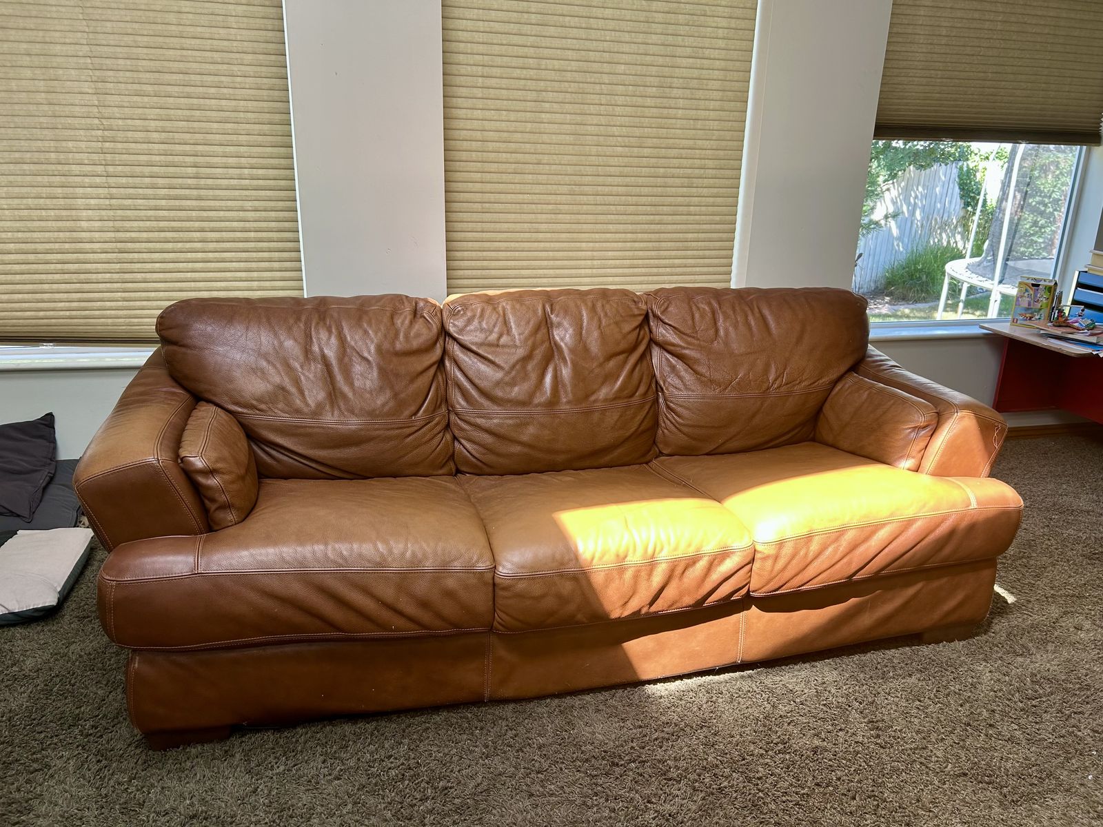 Free Leather couch